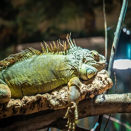 Im Freizeitpark Weissenhaeuser * Weissenhäuser Strand